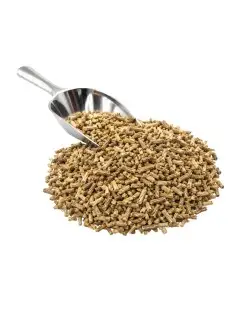 Ginseng Indiano, Ashwagandha (Withania Somnifera)