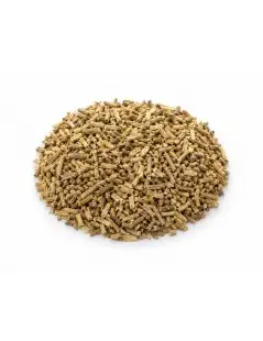Ginseng Indiano, Ashwagandha (Withania Somnifera)