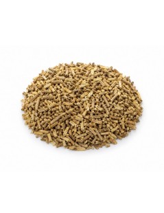 Ashwagandha Ginseng indio | Withania Somnifera | Mejora la salud general