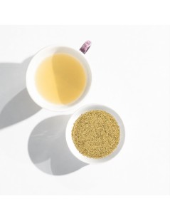 Tisane de Fleurs de Sureau (Sambucus nigra) est utilisée pour Grippe ou Toux