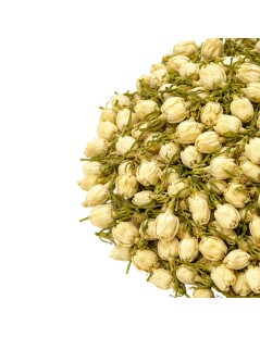Jasmin Fleurs (Jasminum L.)