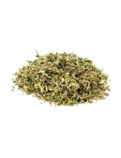 Damiana herbal tea - Turnera diffusa