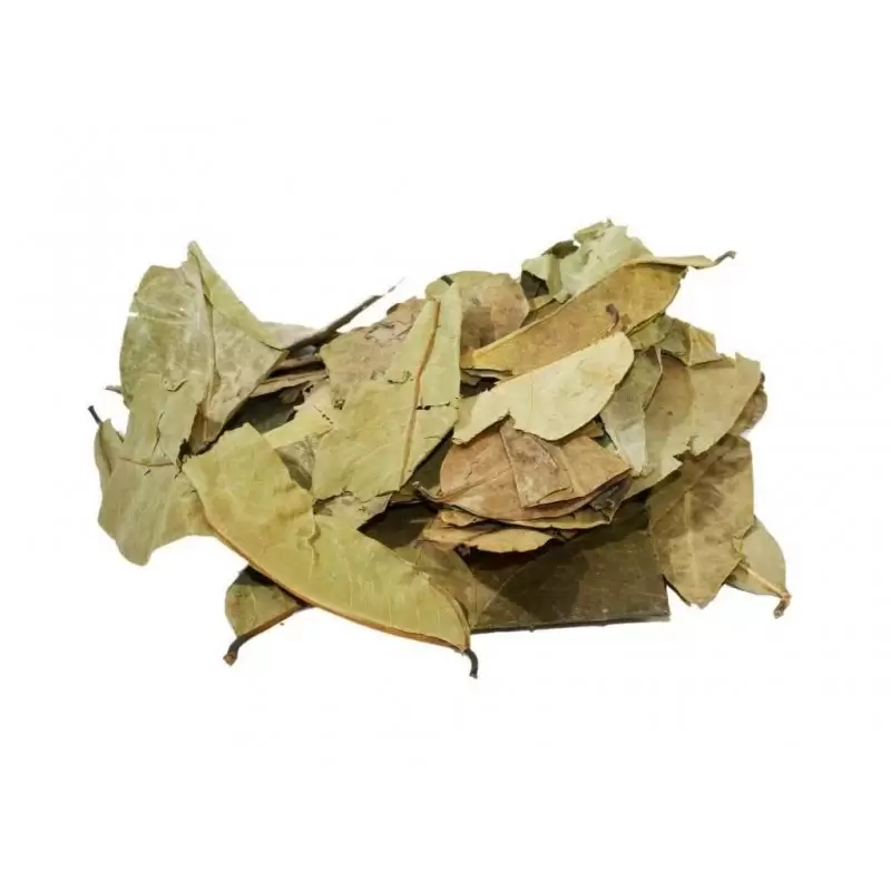 Graviola Tea - Annona muricata herbal tea