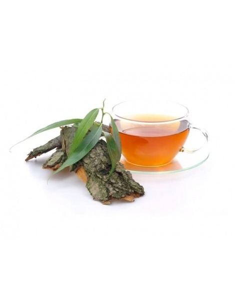 Ein Tee der Silberweide - Salix alba