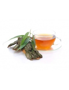 Chá de Salgueiro Branco - Salix alba