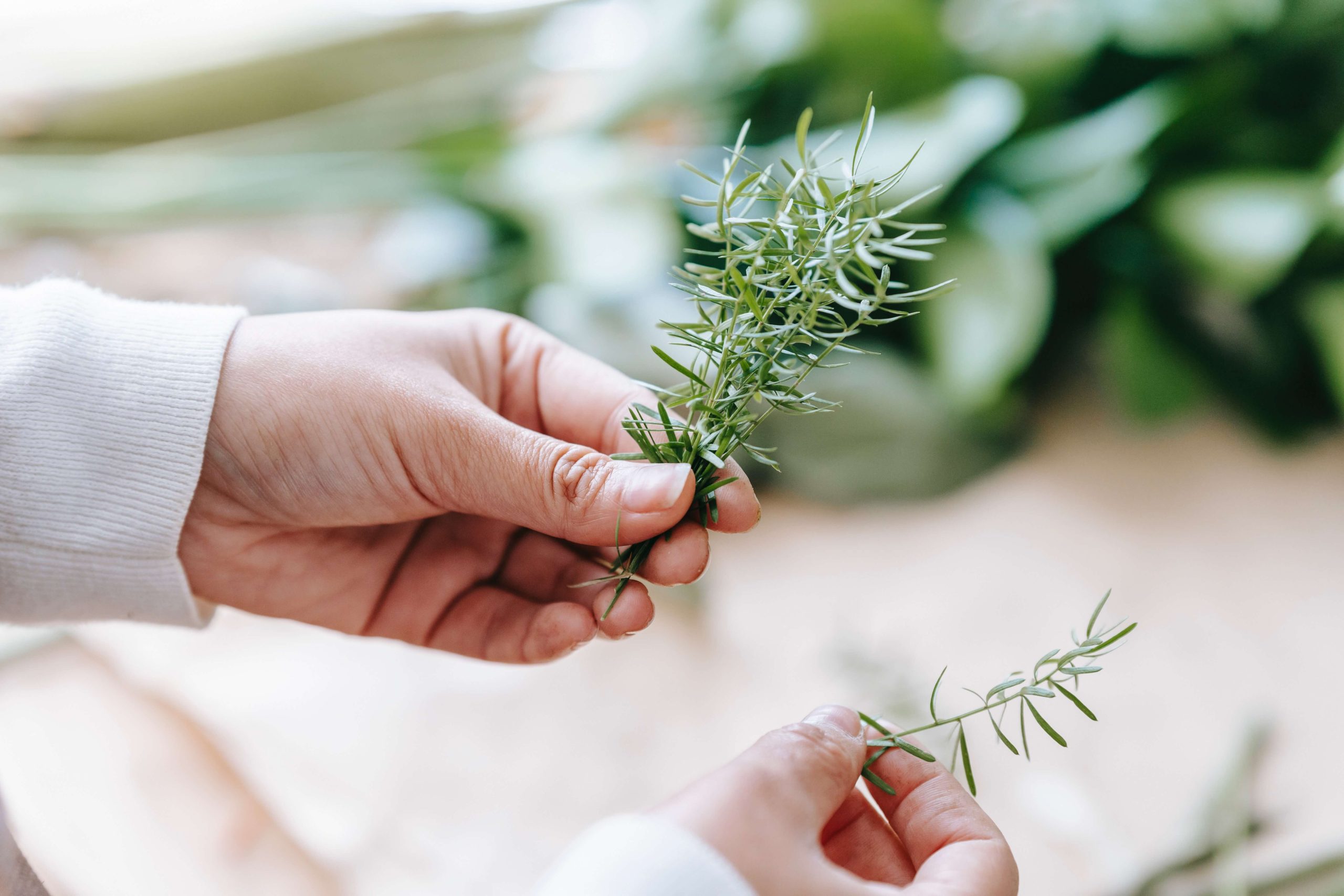 Thé au romarin : naturellement apaisant et bon pour la santé