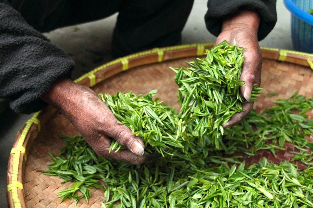 Oolong tea | Chás do Mundo