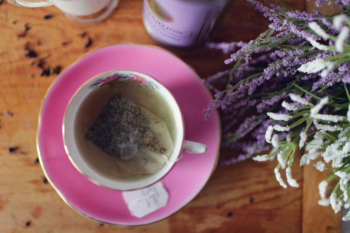 chás para dormir melhor chás do mundo - chá lavanda