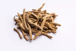 Ginseng siberiano