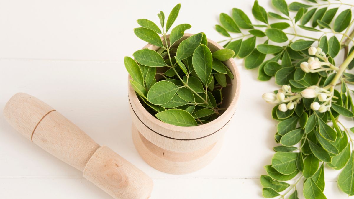 Moringa Beneficios