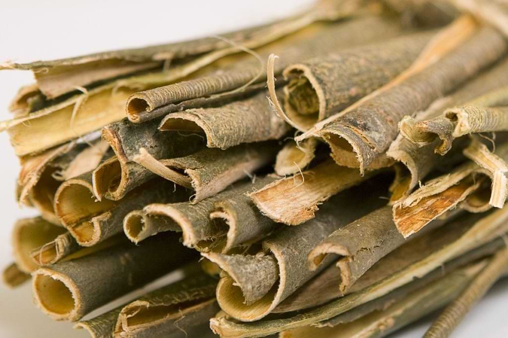 cha-de-salgueiro-bark-willow