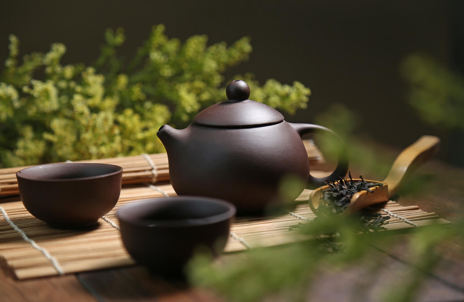29 Curiosidades y el origen del té